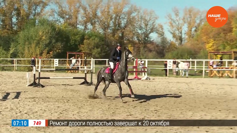 Что такое конкур? – в сюжете «Турнир по конному спорту»