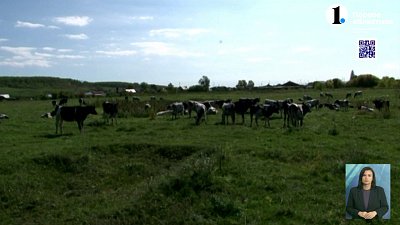 В Чебаркульском районе завершается сбор урожая