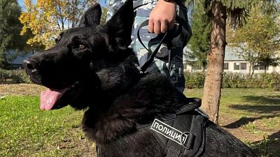 В Челябинске кинологи проводили служебную собаку на пенсию