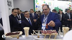 В Челябинске собрали лучшие достижения уральских аграриев