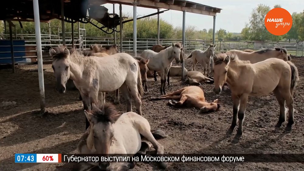 Этнотур в Кунашакский район в рубрике «Из города – в деревню»