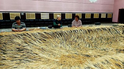 Тент размером с «трешку» для бойцов СВО сшили мастерицы Челябинской области