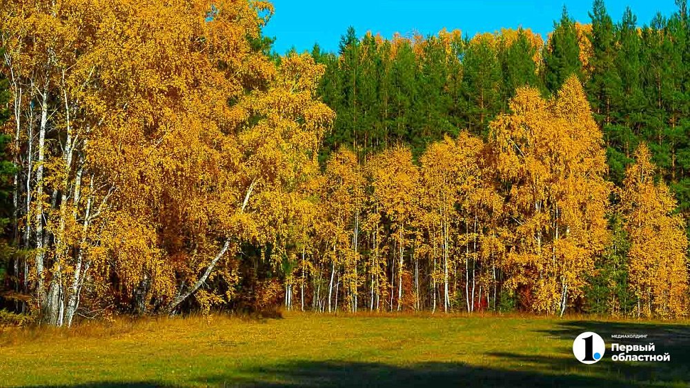 В Челябинскую область вернется бабье лето в первую неделю октября