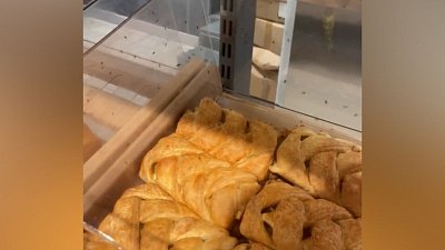 Жители Челябинской области жалуются на нашествие мошек