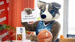 Баскетбольный клуб «Челбаскет» определился с целями и задачами на сезон‑2023/24