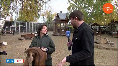 Контактный зоопарк в «Прямом включении»