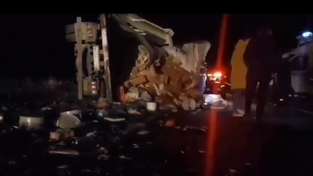 Житель Челябинской области погиб в Башкирии после наезда машины на лося