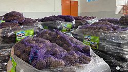 Фермеры из Челябинской области отправили в Донбасс 40 тонн гуманитарной помощи