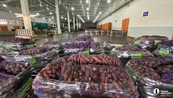 Фермеры из Челябинской области отправили в Донбасс 40 тонн гуманитарной помощи