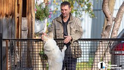 Директор из Челябинска бросила мегаполис и развела перепелов в деревне