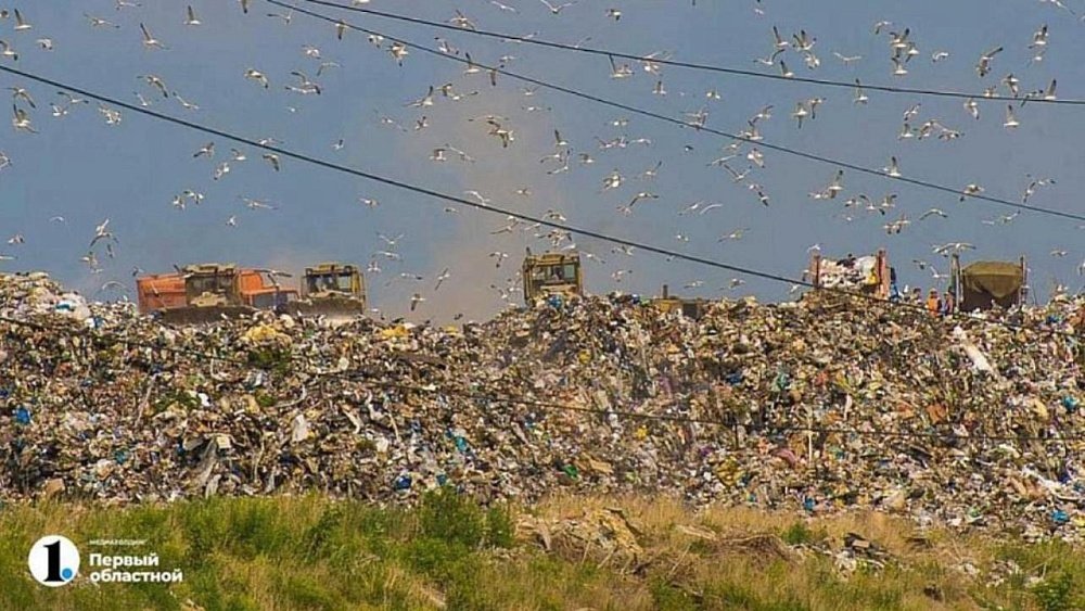 В Челябинской области с начала года закрыли около 140 незаконных свалок