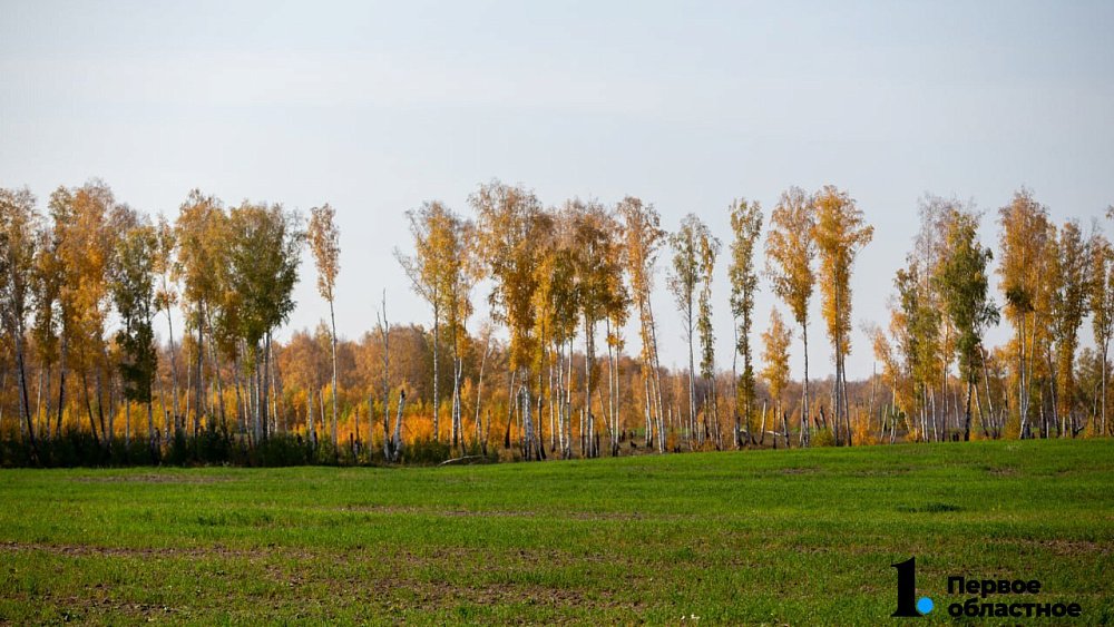 Жители Челябинской и Свердловской областей объединились против строительства полигона ТБО
