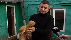 Житель Челябинской области держит во дворе 1,5 тысячи экзотических птиц