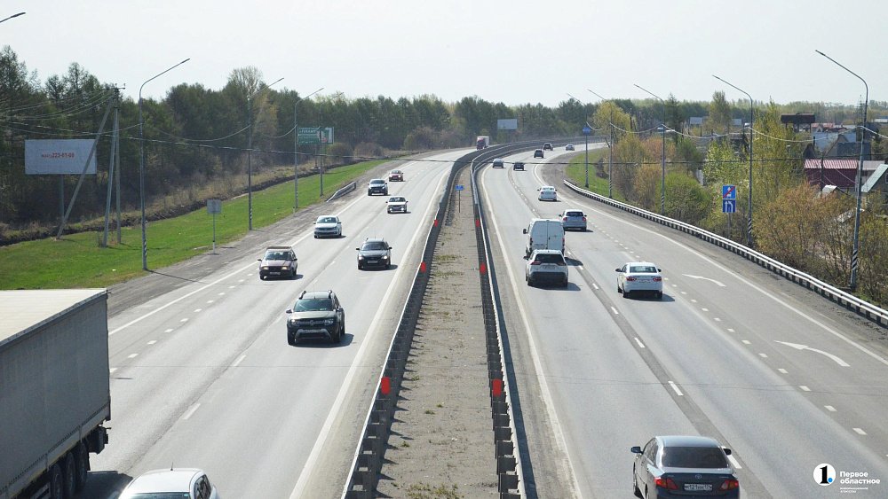 На трассах Челябинской области станет больше знаков «Дикие животные»