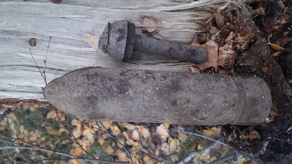 Росгвардейцы уничтожили опасный снаряд в лесу Челябинской области