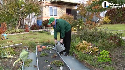 Какие шесть работ необходимо провести в саду до прихода холодов?