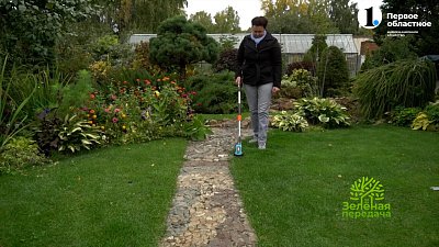 Осенний уход за газоном