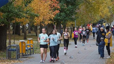 В Челябинском городском бору пройдет Всероссийский день ходьбы