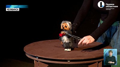 В Челябинск на гастроли приехал Енот!