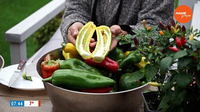 Перцы, которые слаще арбузов — в рубрике «Руки садовода»