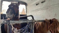 Из Копейска отправили фуру с гуманитарной помощью в Донбасс