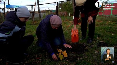 Вторая жизнь: в Троицке восстановили дендропарк