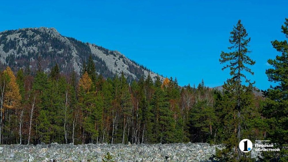 В нацпарке «Таганай» зафиксировали 20‑летний температурный рекорд