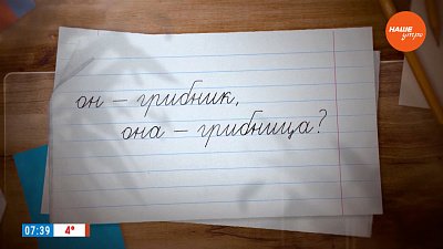 Разбираемся с грибниками и грибницами в рубрике «Простые правила»