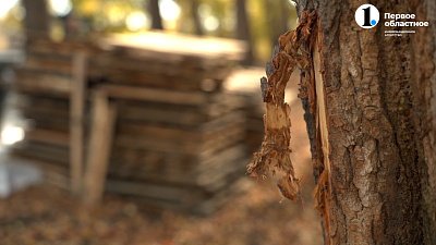 Челябинцы выступают против благоустройства рядом с домом