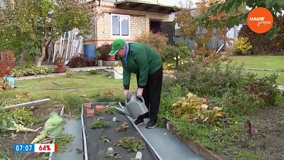 Октябрь — время ударной работы в рубрике «Руки садовода»