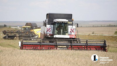 В Челябинской области аграрии завершают уборку пшеницы, картофеля и овощей