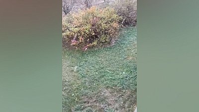 В Миассе первый снег выпал на улицы города