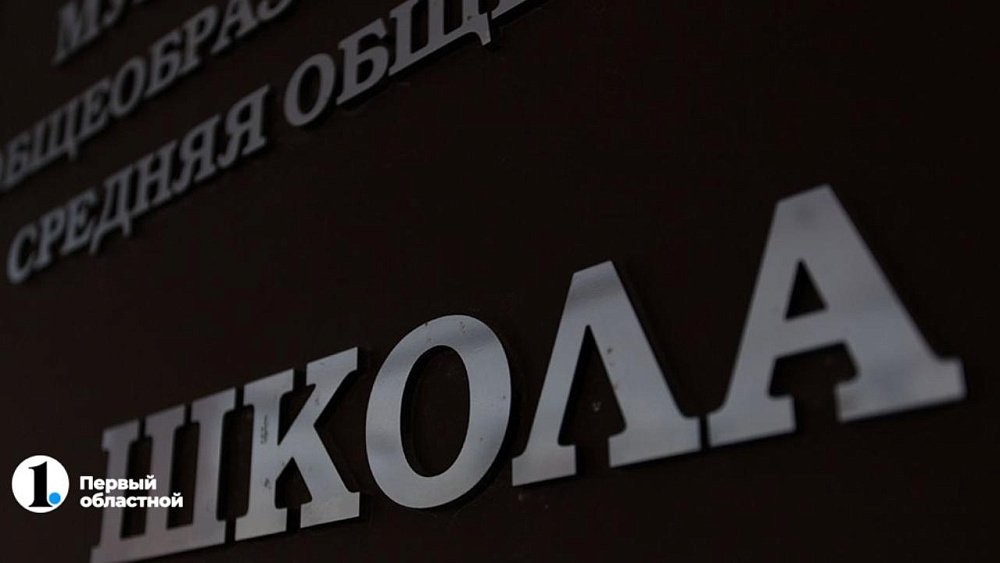 Челябинские педагоги обменяются опытом с коллегами из донецкой Ясиноватой