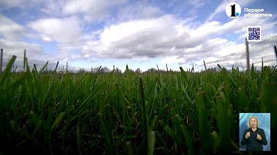 Зелёный холм: какое будущее у рекультивированной свалки?