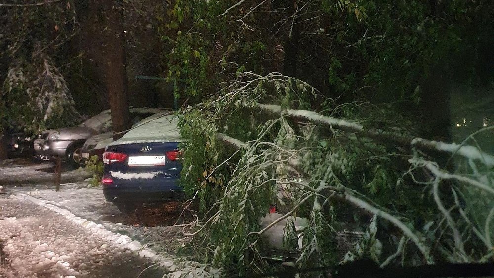 Бушевавшая на юге Челябинской области непогода повалила деревья