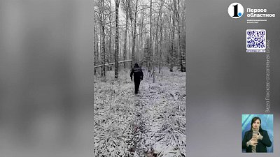 В нацпарке «Таганай» заблудились туристы