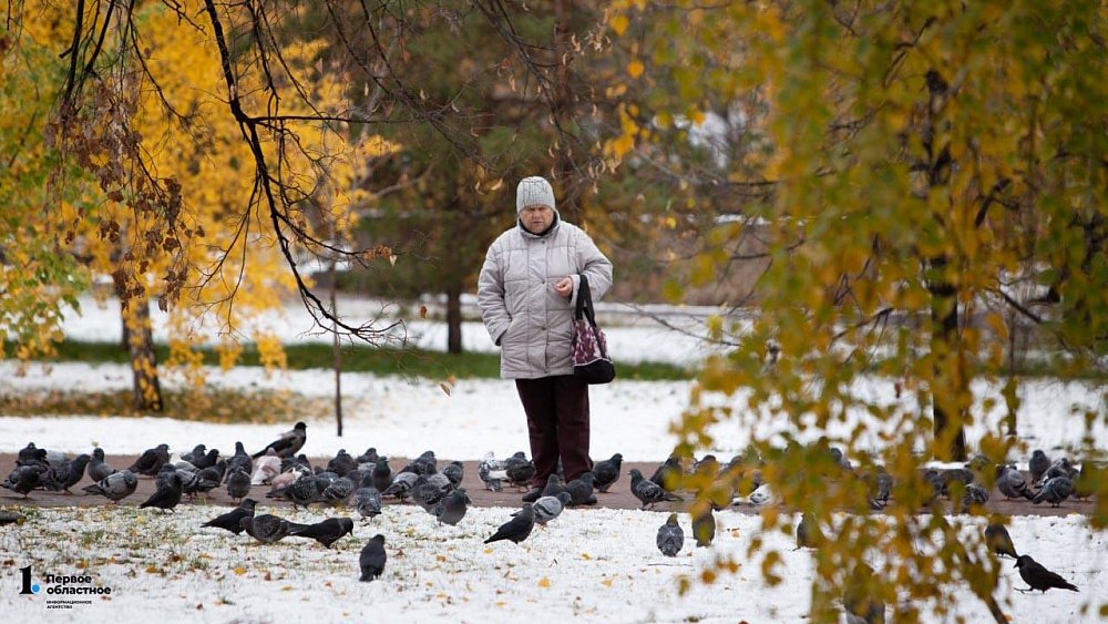 В Челябинске выпал первый снег