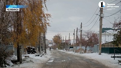 Реальная угроза или соседские войны? В посёлке Першино местные жители жалуются на свору собак