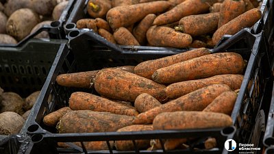 В Челябинской области подешевели морковь и поездки в Турцию