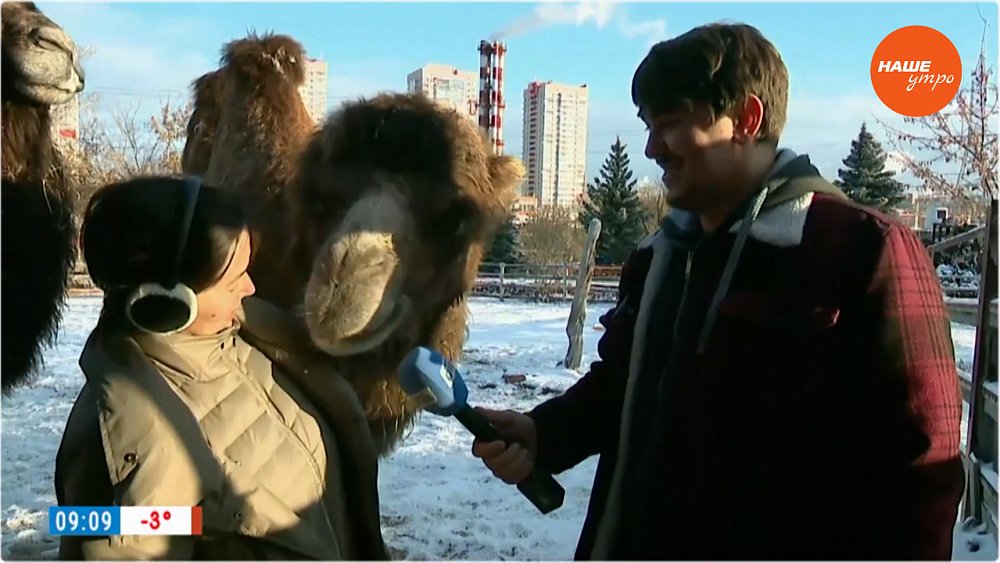 Животные в зоопарке готовятся к зиме в «Прямом включении»