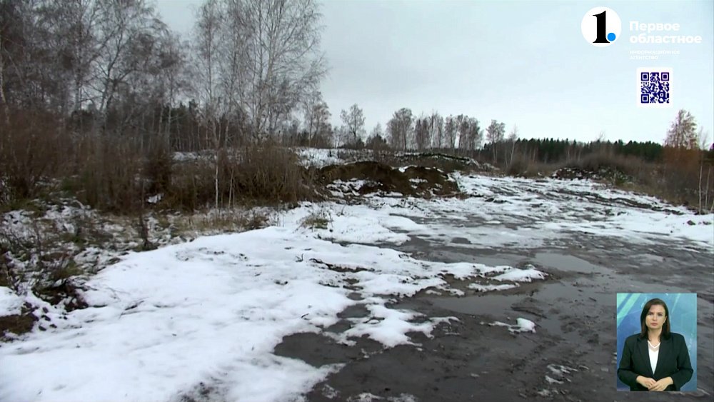 Лес вместо гор мусора: в посёлке Белоносово ликвидировали свалку