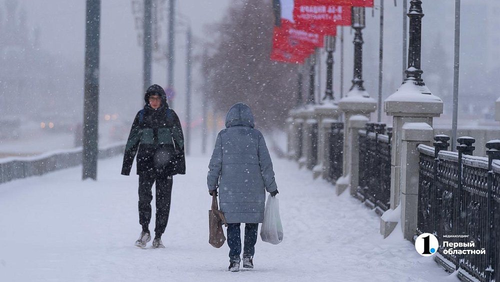 В Челябинскую область вернутся снегопады и метели в выходные