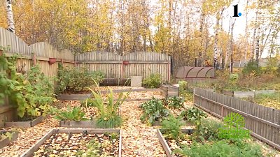 Осень — лучшее время сделать почву плодороднее