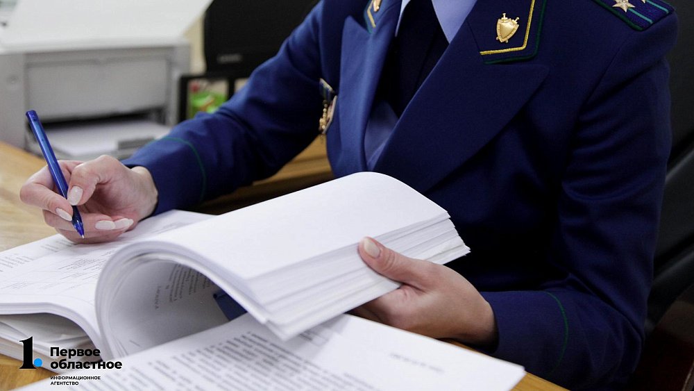 Прокуратура начала проверку после падения снежной глыбы на ребенка в Челябинске