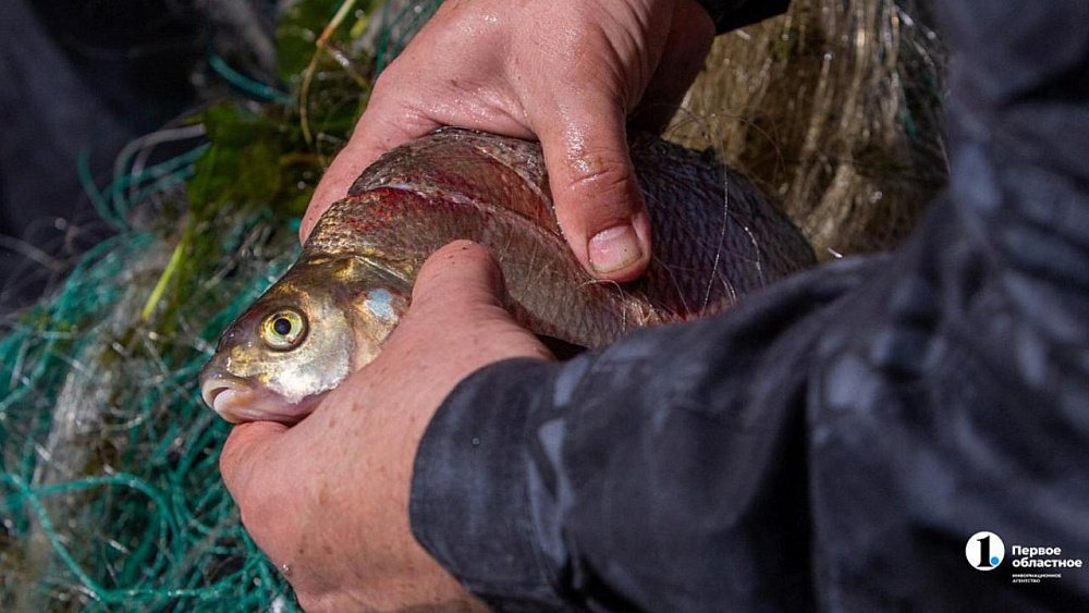 На трех водоемах Челябинской области временно ограничили рыбалку