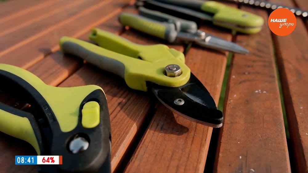 Важные хлопоты садовода перед началом зимы в рубрике «Руки садовода»