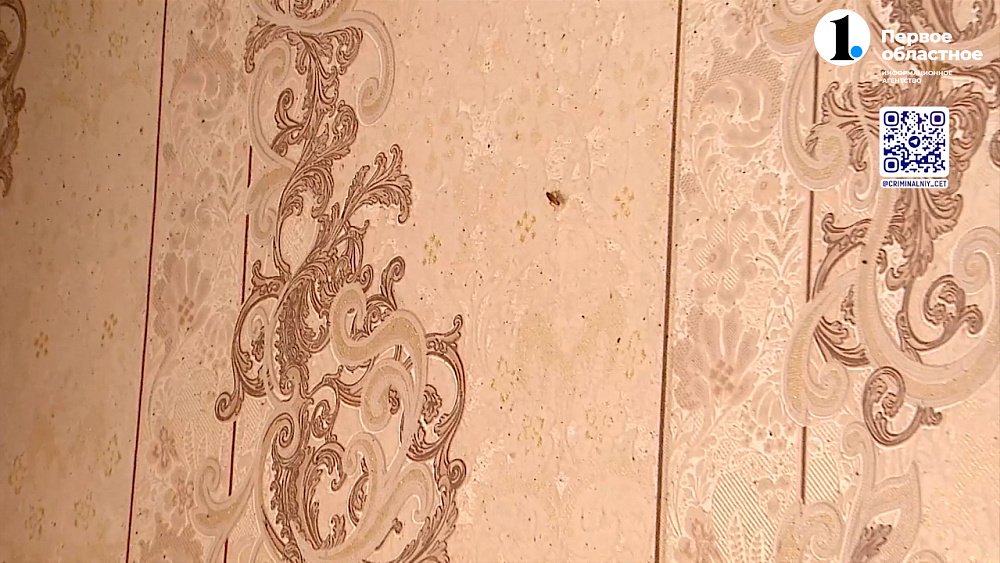 В Челябинске клопы атаковали многоэтажку