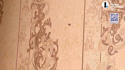 В Челябинске клопы атаковали многоэтажку