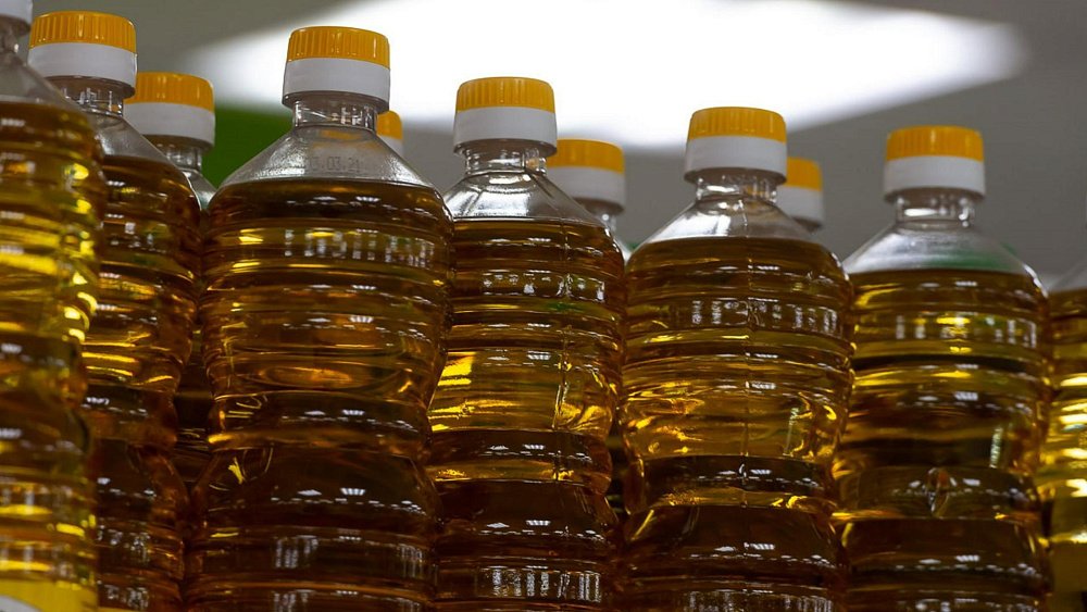 Как подсолнечное масло воздействует на иммунитет