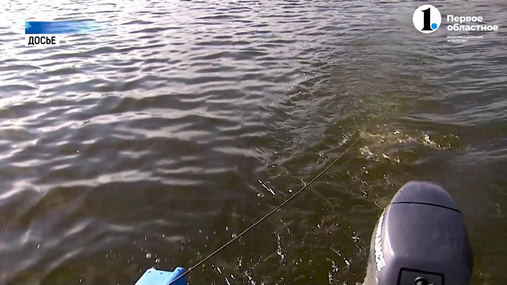 В регионе ввели нерестовый запрет на рыбалку